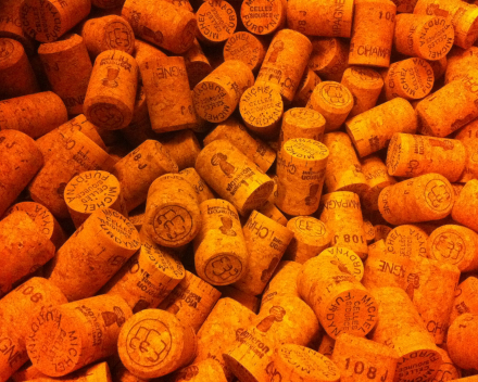 Onze nieuwe champagne: de Carte Blanche van Domaine Furdyna