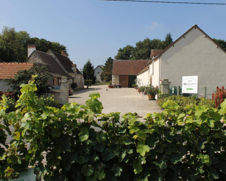 Ierse Mór oester en sauvignon de Touraine - Oisly