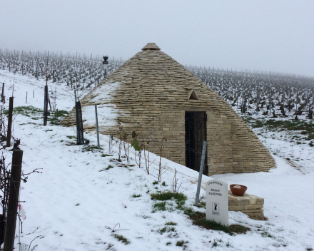 Onze nieuwe champagne: de Carte Blanche van Domaine Furdyna