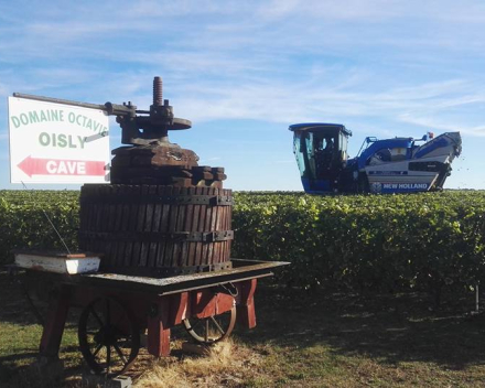 Ierse Mór oester en sauvignon de Touraine - Oisly