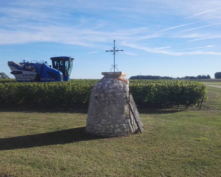 Ierse Mór oester en sauvignon de Touraine - Oisly