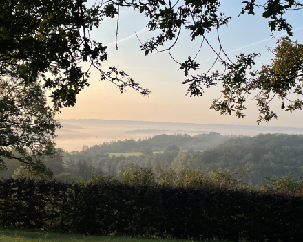 Mist uit het hoofd jagen in chateau d'Eddy
