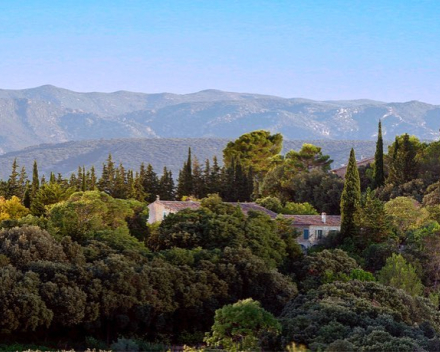 Mas de Daumas Gassac    