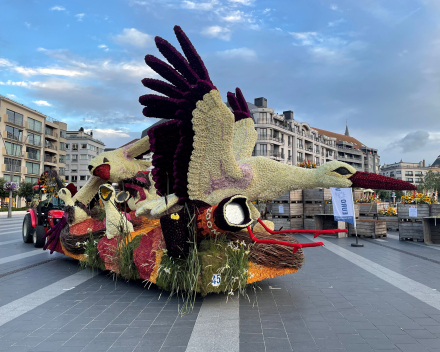 28 augustus / prachtig bloemencorso in Blankenberge