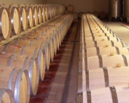 De wijnen van domaine des Graves d'Ardonneau op onze degustatie