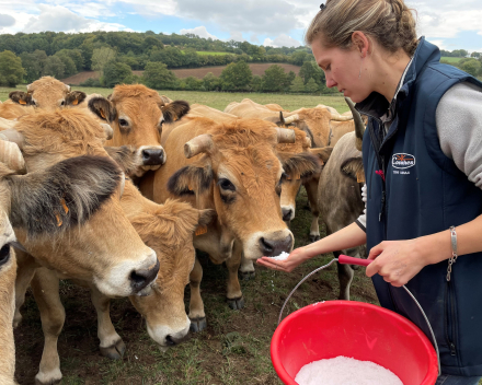 24 september / op beozek bij een prachtig boerengezinnetje in de ...Aubrac