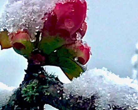 Zij; fotograferen – ik; teksten maken: een corona-jaar lang Valentijn