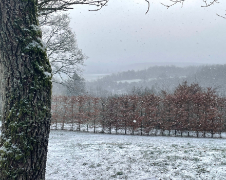Sneeuw, gamba en Jenga: topper in d'Ardennen