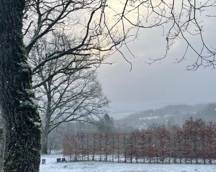 Sneeuw, gamba en Jenga: topper in d'Ardennen