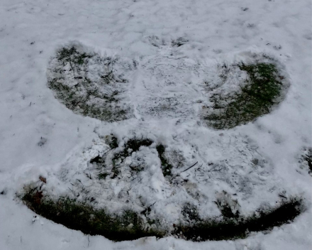 Zij; fotograferen – ik; teksten maken: een corona-jaar lang Valentijn
