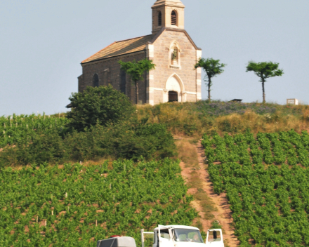 topwijn La Madone Fleurie 2019 van Gilles Coperet krijgt een 94/100 beoordeling