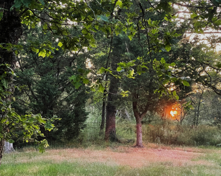 Heerlijke dag Ardennen