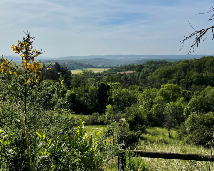 Heerlijke dag Ardennen