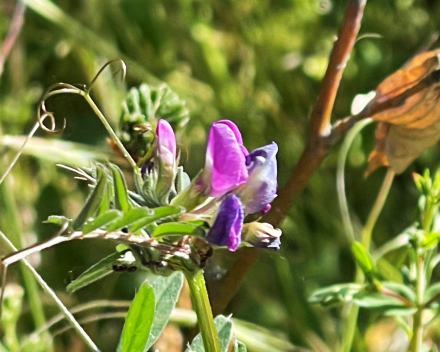 Heerlijke dag Ardennen