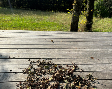 Wat zeg je van dien oed * - dag  Ardennen