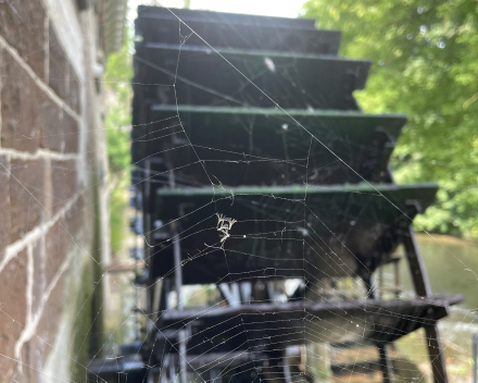 Fijne wandeling gemaakt
