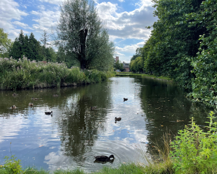 Fijne wandeling gemaakt