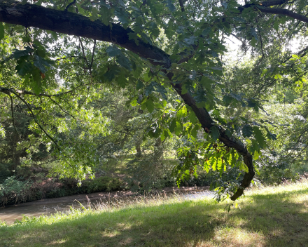 Fijne wandeling gemaakt
