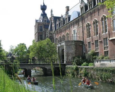 Deze week: een laatste bijdrage over onze duiven