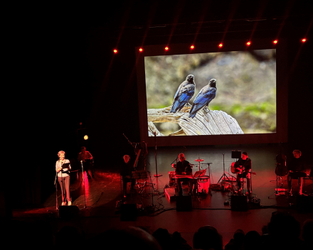 Waterland: poëzie - beeld en muziek van Ashwell - topavond in Sijsele