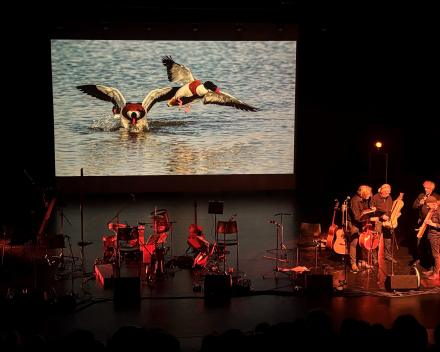 Waterland: poëzie - beeld en muziek van Ashwell - topavond in Sijsele
