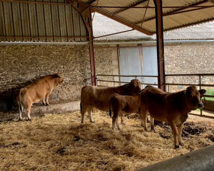 2de dag van onze reis La Ferme de Ribatels bij Aurélie en Nicolas