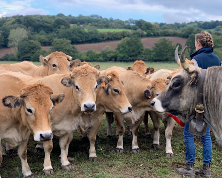 2de dag van onze reis La Ferme de Ribatels bij Aurélie en Nicolas