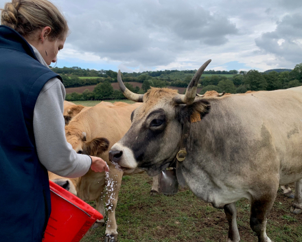 2de dag van onze reis La Ferme de Ribatels bij Aurélie en Nicolas