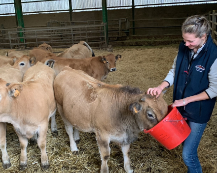 2de dag van onze reis La Ferme de Ribatels bij Aurélie en Nicolas