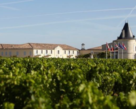 Chateau Lilian Ladouys 2016  AOP Saint-Estephe  cru bourgeois exceptionel  € 25.90 btw in