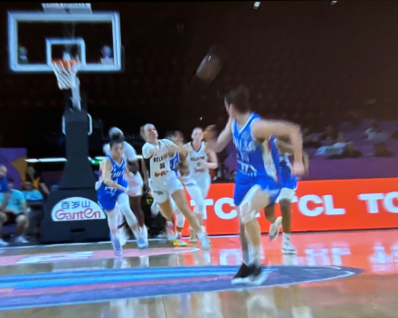 Hoe cool was dat (basket Belgian Cats)