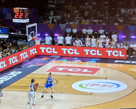 Hoe cool was dat (basket Belgian Cats)