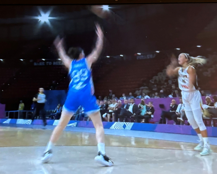 Hoe cool was dat (basket Belgian Cats)
