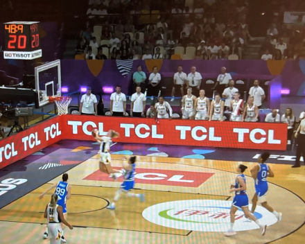 Hoe cool was dat (basket Belgian Cats)