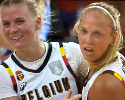 Hoe cool was dat (basket Belgian Cats)