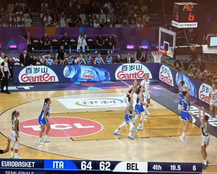 Hoe cool was dat (basket Belgian Cats)