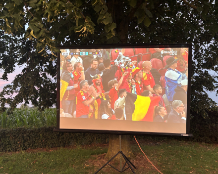 Supporters, sympathisanten en diehards