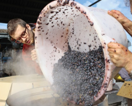 Chateau Petit Bocq 2016  AOP Saint-Estephe  cru bourgeois  € 26.20 btw in