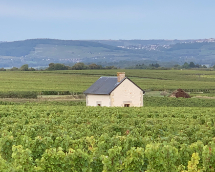 Dag 1 reis 2022 Tarn - Languedoc