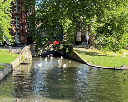 citytrip in Brugge