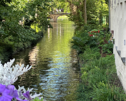 citytrip in Brugge