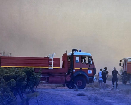 De zomer staat in brand