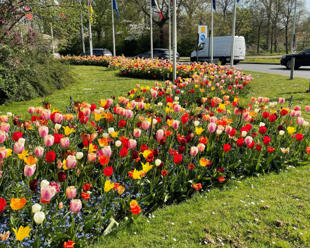 14 april - lente in Brugge