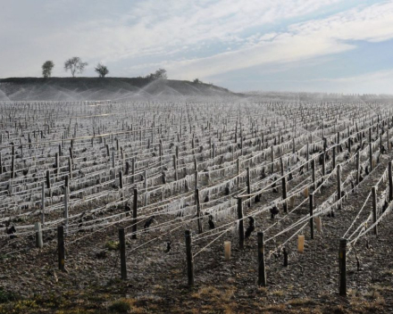 Chablis  Premier Cru Fourchaume  2019 Domaine Séguinot - Bordet