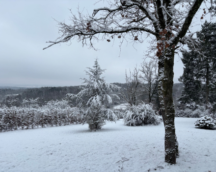 Na sneeuw komt regen