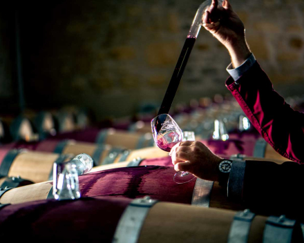 Chateau Petit Bocq 2016  AOP Saint-Estephe  cru bourgeois  € 26.20 btw in