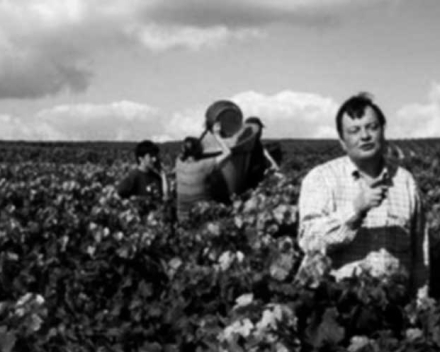 Chateau Petit Bocq 2016  AOP Saint-Estephe  cru bourgeois  € 26.20 btw in