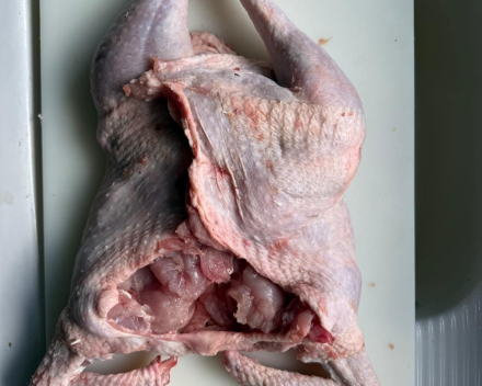 Opgevulde kalkoen op de wijze van de chef
