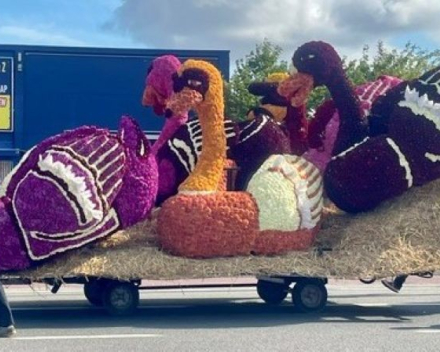 Beetje ongewone file naar Blankenberge
