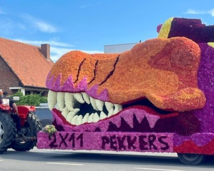 Beetje ongewone file naar Blankenberge